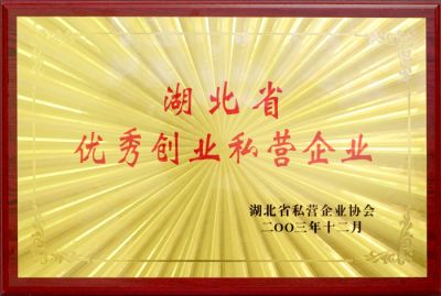 優(yōu)秀創(chuàng)業私營企業